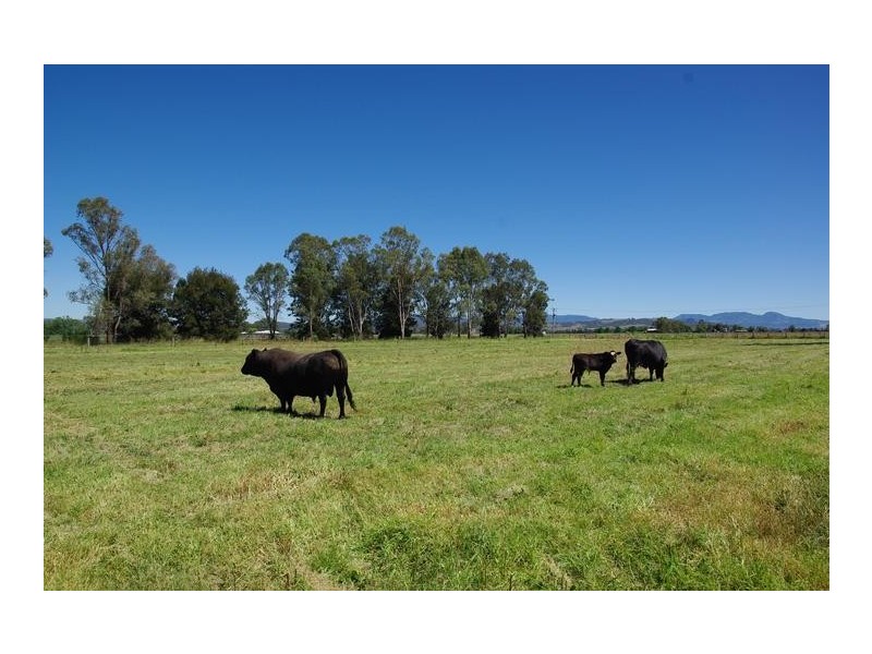 61 Aberdeen Street, Scone NSW 2337