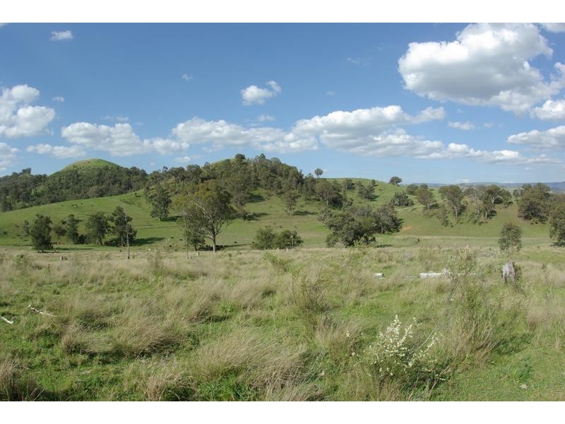 10 Pages Creek Road, Scone NSW 2337