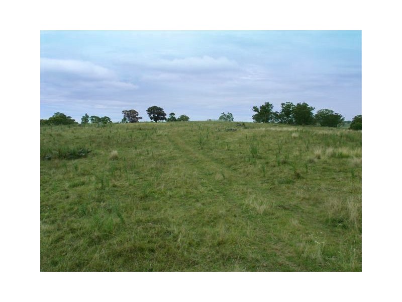 10 Pages Creek Road, Scone NSW 2337