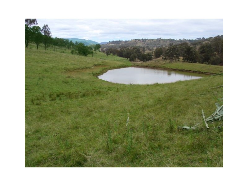 10 Pages Creek Road, Scone NSW 2337