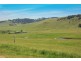 1525 Scrumlo Road, Muswellbrook NSW 2333