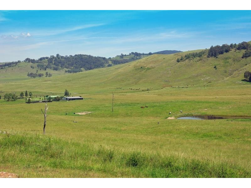 1525 Scrumlo Road, Muswellbrook NSW 2333