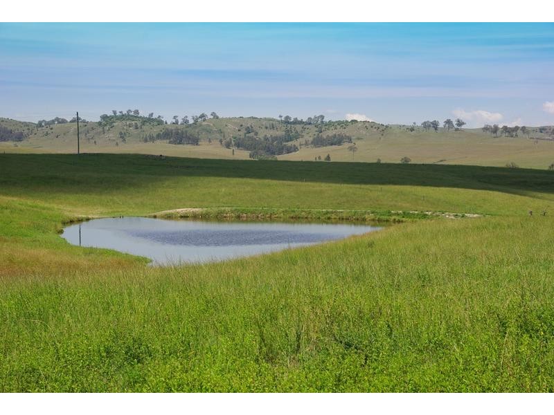 1525 Scrumlo Road, Muswellbrook NSW 2333