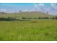 1525 Scrumlo Road, Muswellbrook NSW 2333