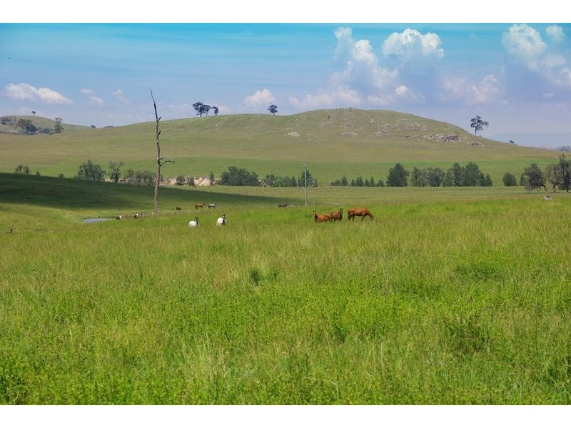 1525 Scrumlo Road, Muswellbrook NSW 2333