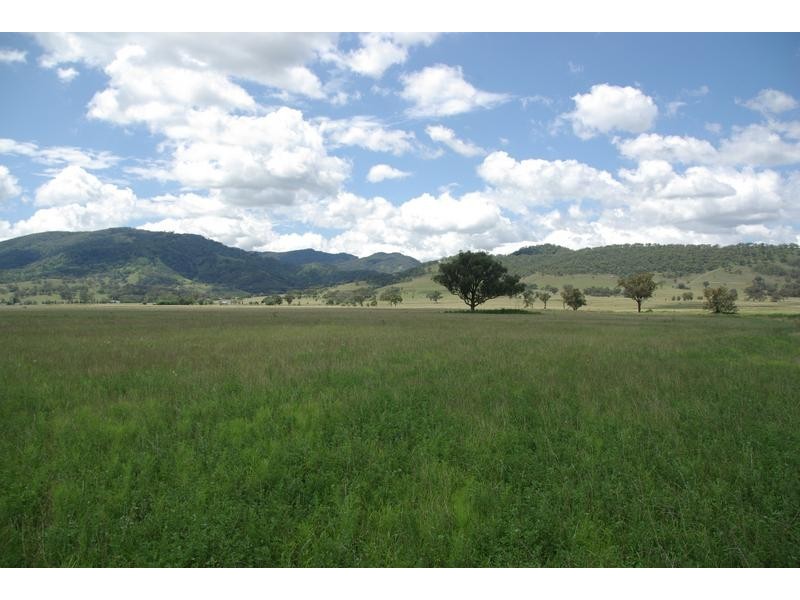 Alfred Brown Lane, Parkville NSW 2337