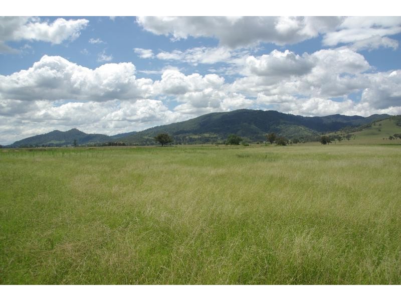 Alfred Brown Lane, Parkville NSW 2337