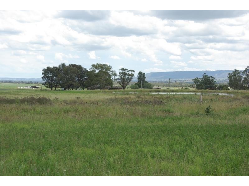 Alfred Brown Lane, Parkville NSW 2337