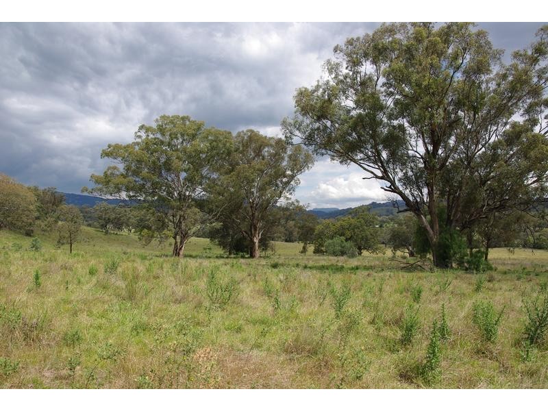 102 New England Highway, Willow Tree NSW 2339