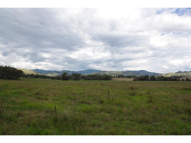 102 New England Highway, Willow Tree NSW 2339