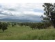 3 Yarrandi Road, Scone NSW 2337