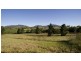 12 Wilson Street, Gundy NSW 2337