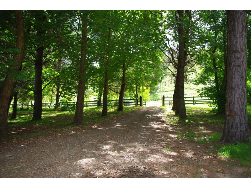 148 Omadale Brook Rd, Ellerston NSW 2337