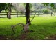 148 Omadale Brook Rd, Ellerston NSW 2337