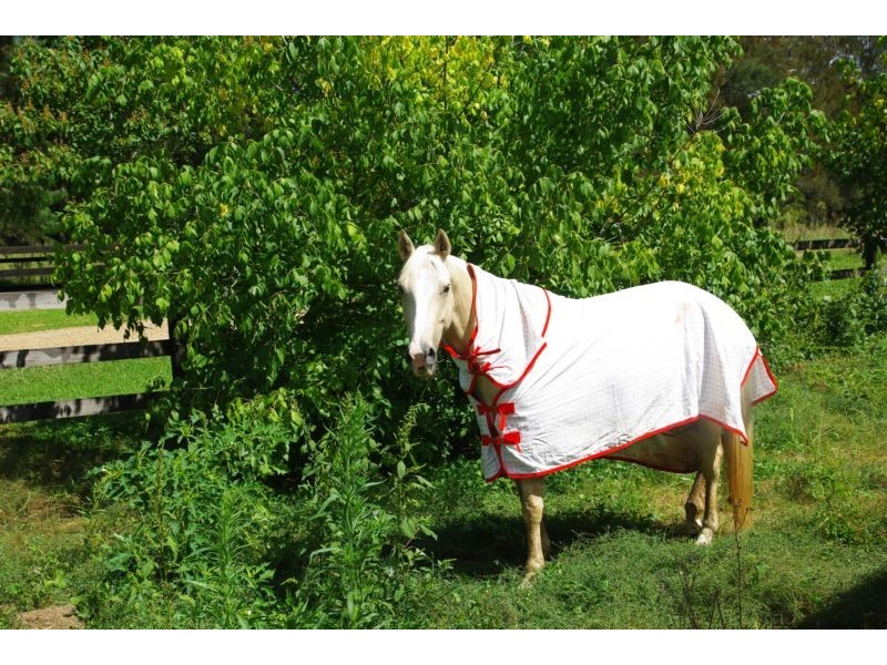 148 Omadale Brook Rd, Ellerston NSW 2337