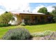 4 Maule St, Wingen NSW 2337