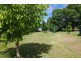 4 Maule St, Wingen NSW 2337