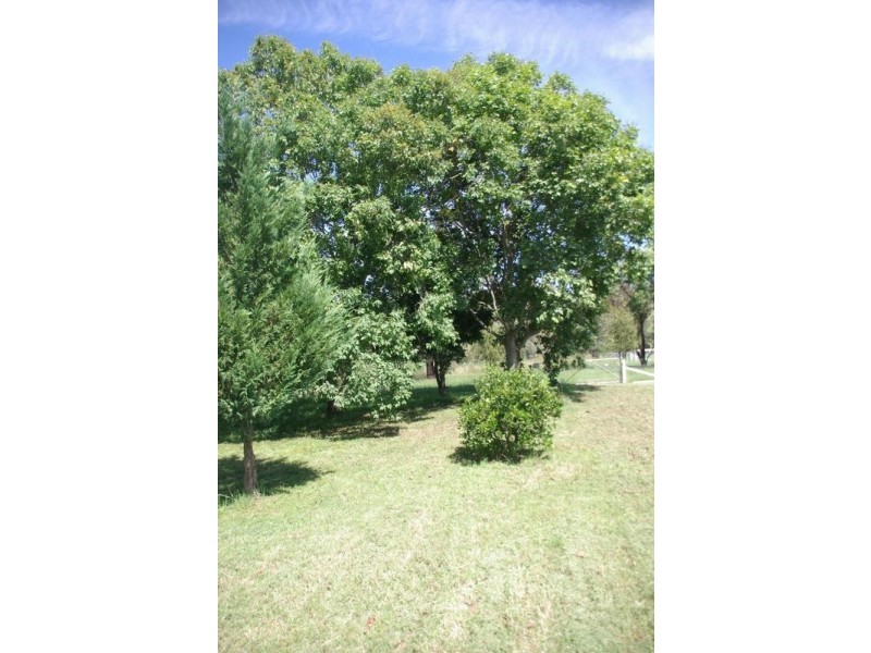 4 Maule St, Wingen NSW 2337