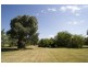 3183 New England Hwy, Scone NSW 2337