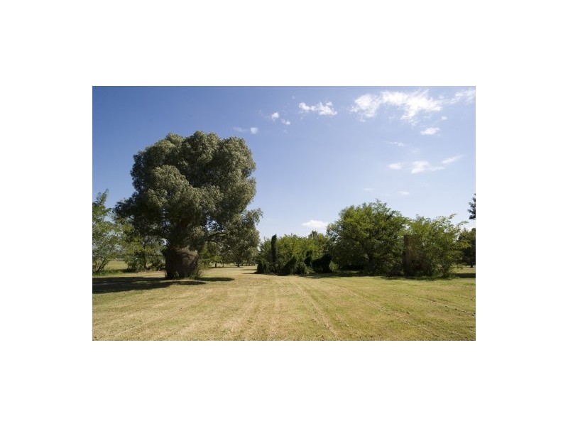 3183 New England Hwy, Scone NSW 2337