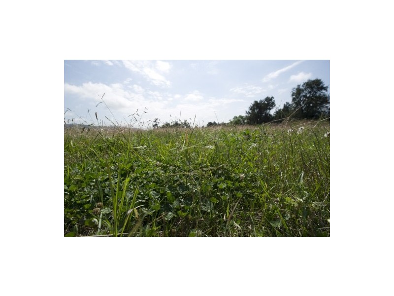 3183 New England Hwy, Scone NSW 2337