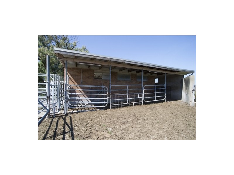 3183 New England Hwy, Scone NSW 2337