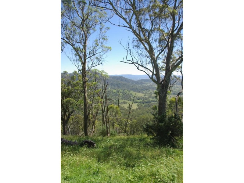 . Glen Moan Woolshed Road, Willow Tree NSW 2339