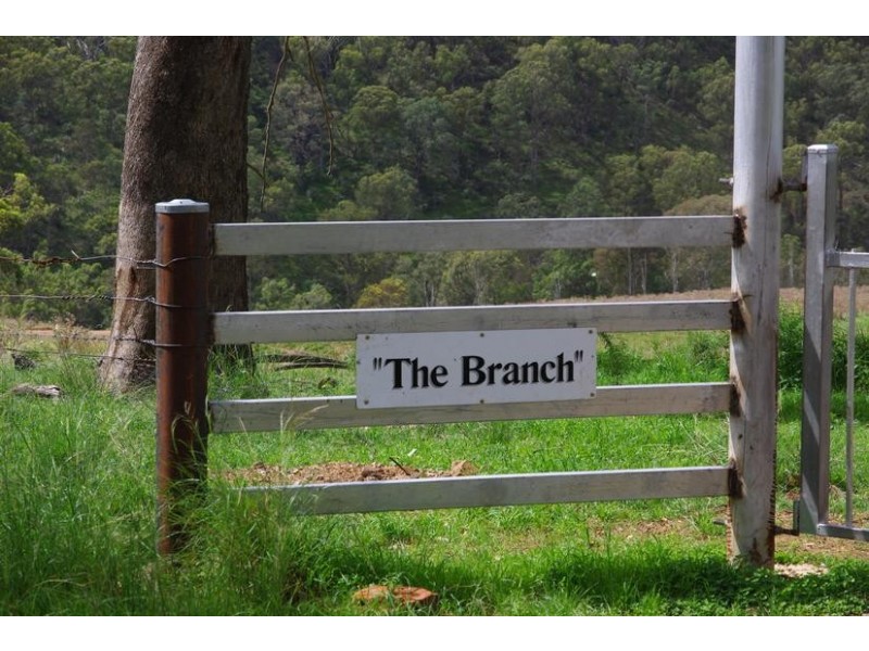 Branch Creek Road, Timor NSW 2338