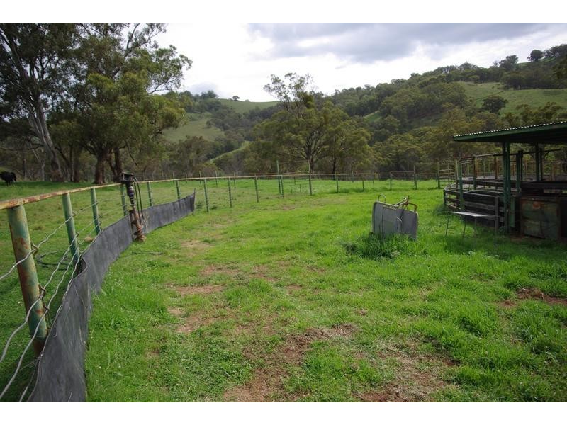 Branch Creek Road, Timor NSW 2338