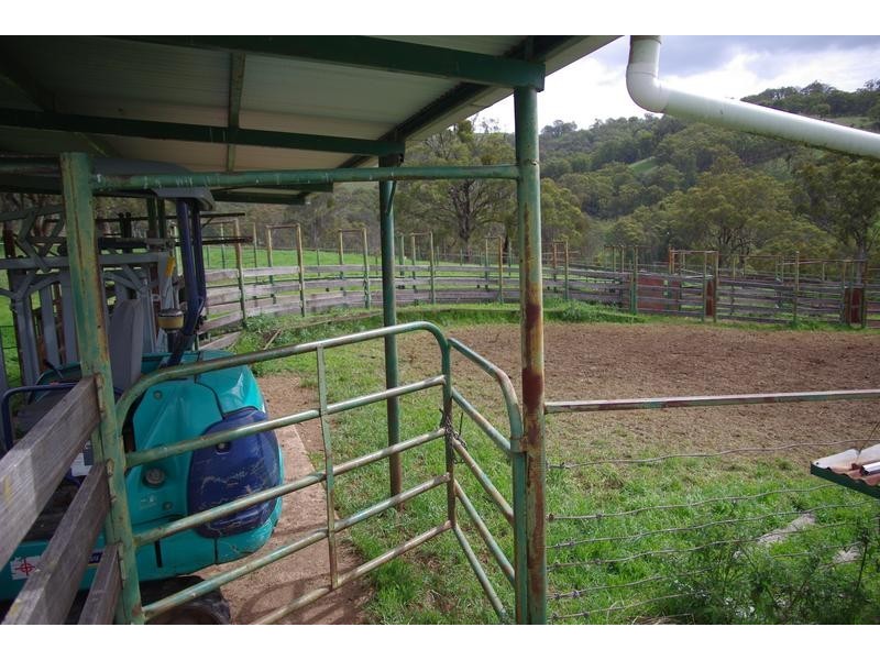 Branch Creek Road, Timor NSW 2338