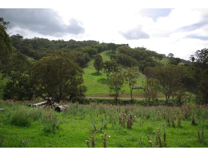 Branch Creek Road, Timor NSW 2338