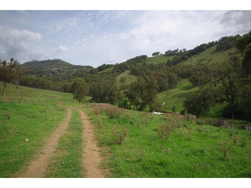 Branch Creek Road, Timor NSW 2338