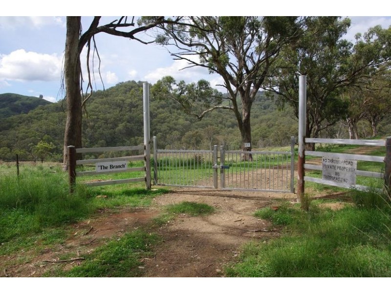 Branch Creek Road, Timor NSW 2338