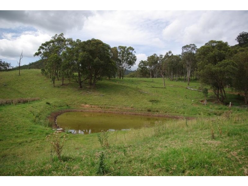 Branch Creek Road, Timor NSW 2338