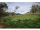 Branch Creek Road, Timor NSW 2338