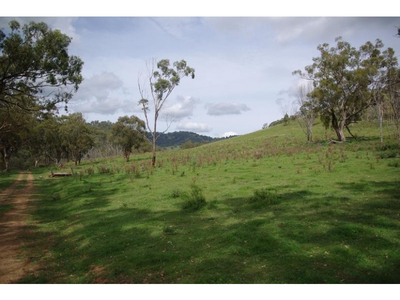 Branch Creek Road, Timor NSW 2338