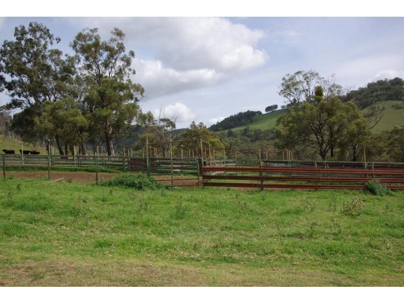 Branch Creek Road, Timor NSW 2338