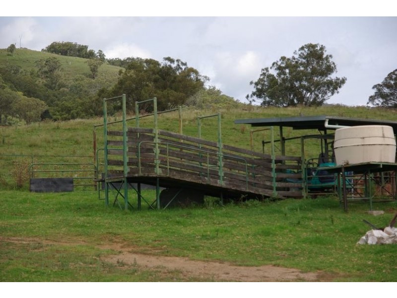 Branch Creek Road, Timor NSW 2338