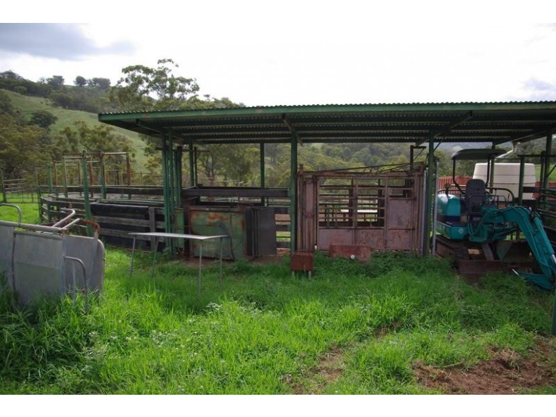 Branch Creek Road, Timor NSW 2338