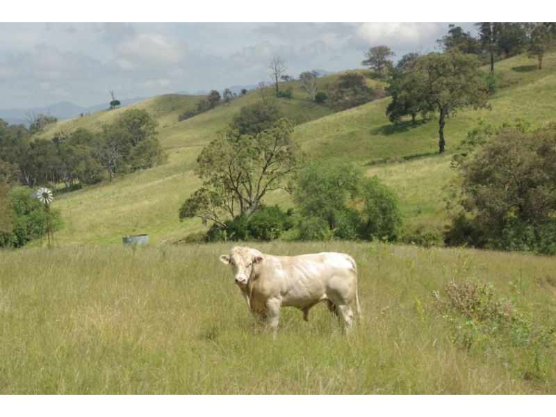 281 Mareeba Rd, Scone NSW 2337