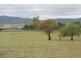 165 Tullong Rd, Scone NSW 2337