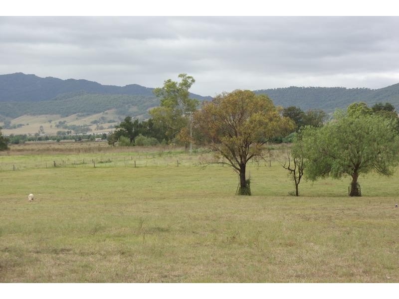 165 Tullong Rd, Scone NSW 2337