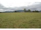 165 Tullong Rd, Scone NSW 2337