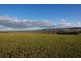 Lot 52, 49 Allan Cunningham Road, Scone NSW 2337