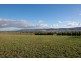 Lot 52, 49 Allan Cunningham Road, Scone NSW 2337