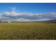 Lot 52, 49 Allan Cunningham Road, Scone NSW 2337