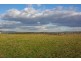 Lot 52, 49 Allan Cunningham Road, Scone NSW 2337
