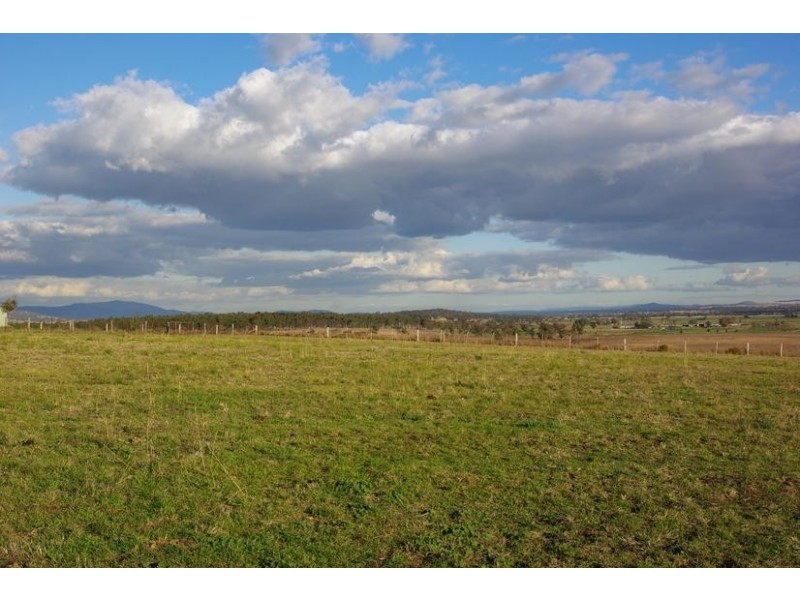Lot 52, 49 Allan Cunningham Road, Scone NSW 2337
