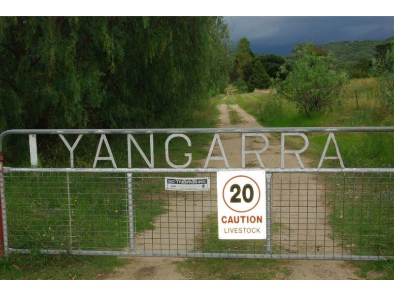 Yangarra, Yangarra Road, Moonbi NSW 2353