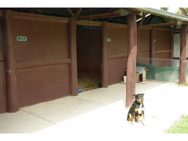 Yangarra, Yangarra Road, Moonbi NSW 2353